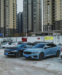 ���������ġ��������ֶ��֣�����һëһ����