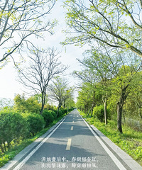 ս40+ɹһ̨ݽ·ؽ̵