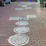 ����ö�񿾮��