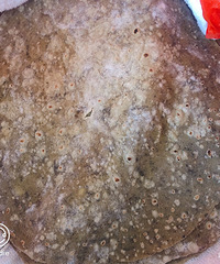 ���Ի���̨��no63����ɫ���Ͳ