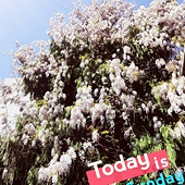 Ժ��������ٻ�