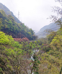 ڻƽϪĴ·Կ̶ĺɽƲʤ