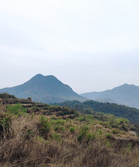 ڻƽϪĴ·Կ̶ĺɽƲʤ