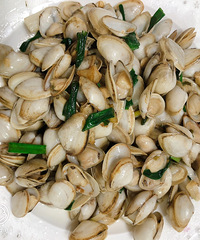 ���Ի���̨��no63�����ͺ�����