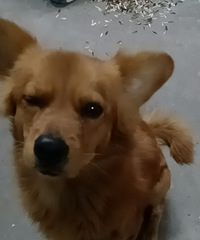 Ѱ����ʾ��������ʧ��2022.4.3��