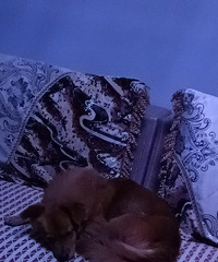 Ѱ����ʾ��������ʧ��2022.4.3��