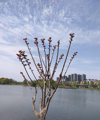 ���������԰Ҳ̫���˰�