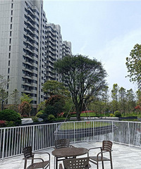 ������������ʵ