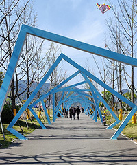 ̤�������