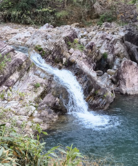 ��Ұ����ڵ��ĳ��ҡ���̽·����ɽ��������-�ĳ�����ɽ��