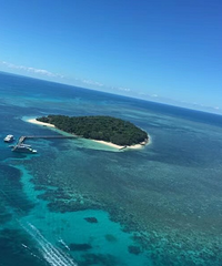 �ɿɰ�����83���ϰ��̣���̸���������~��