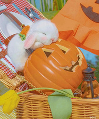 ��85����㣡ϣ�������������˰��������ڴ�