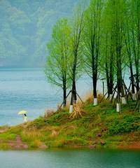 [����]�㽭���Լ�����