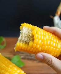 [��ʳ]20����г�ǿ�ĵͿ�ʳ��