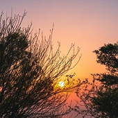 �ճ��ƽ���