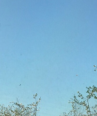 ���黺�͸�Ӫҵ���������ˣ����ȥ��������ԡ��K����