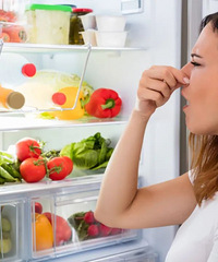 24���������¡����Ʊ��������������֡����������ڸ������ҿ�