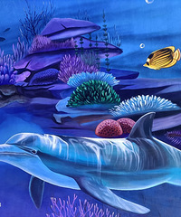 [����]̨�ݱ�������С�ں��ߣ��������ǵÿ��Լ�ȥ����