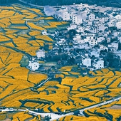 ��Դ����