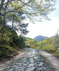 ������̽��Ϫ�ŵ�Ѿ����