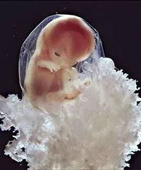 ��̥ͣ�������˲���4��Σ���ź�����һ����ʶ��