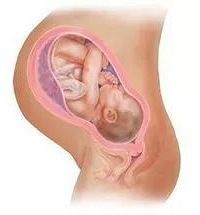 ��̥ͣ�������˲���4��Σ���ź�����һ����ʶ��