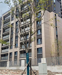 ���ֵ¼ӹ���