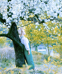 ���봺���и�Լ��