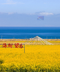 �ຣ������