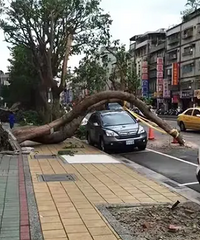 �ϱ��ӻ��˶��ٸ��£����������������һ��