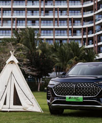 �򴿵��³���鷳��������ʽ�����ܸ����ͺĸߣ��⳵���ײ���