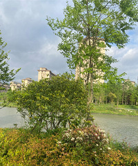 ��Ҫ���������뵺�Աߵ��̵���