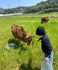 �������ռ�NO.63����û�п��ܣ�������ʵ����̤���ģ�