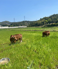 �������ռ�NO.63����û�п��ܣ�������ʵ����̤���ģ�