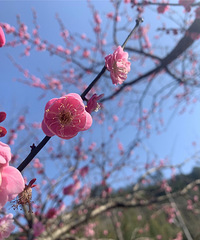 ���ǵĹ��ʶ��Ƕ�����û�Ǽۣ�