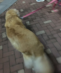 [�״�]���괴ҵ����50��һ��ȴֻʣ��10��������