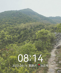 徒步括苍山国家森林公园云峰林区——从大岭头到仙人基