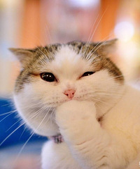 93�꽷�����ӣ�ϲ���������Σ�ϣ����һ������������173+