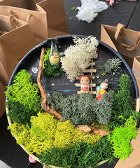 ���ݱ�XFL���Լ�.̨�ݹ��衿�������ҵ������ĵ�