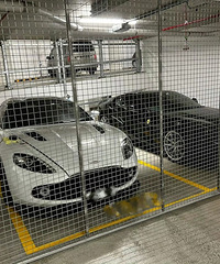 ��ܰ��ʾ���������ˣ���ֹͶι