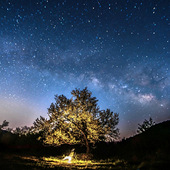 �滨�������ǿ�