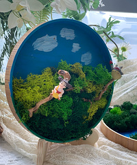 ��½������L�Լ�.̨�ݹ��衿һ����L���͵ļ���