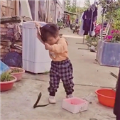 ����ͽ��ץ����