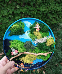 ���ݱ�XFL�Լ�.̨�ݹ��衿������������Լݻ