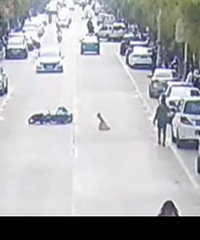 ���ú��ӣ�5��Ůͯ�ᴩ��·��ײ�໤��ȫ��