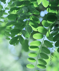 �ͺ��ʵ��ˣ����ʺ��Լ������85��������