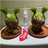 �ֳ������޵ĵ�24��