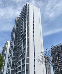 ����ֵ���׵İ�