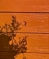 �����Ҳ�Ȱ���������ô����Լ�������ĵط��úü�һ��ɡ�