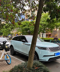 ���������ġ���ɫ·����ǡ���ô�������